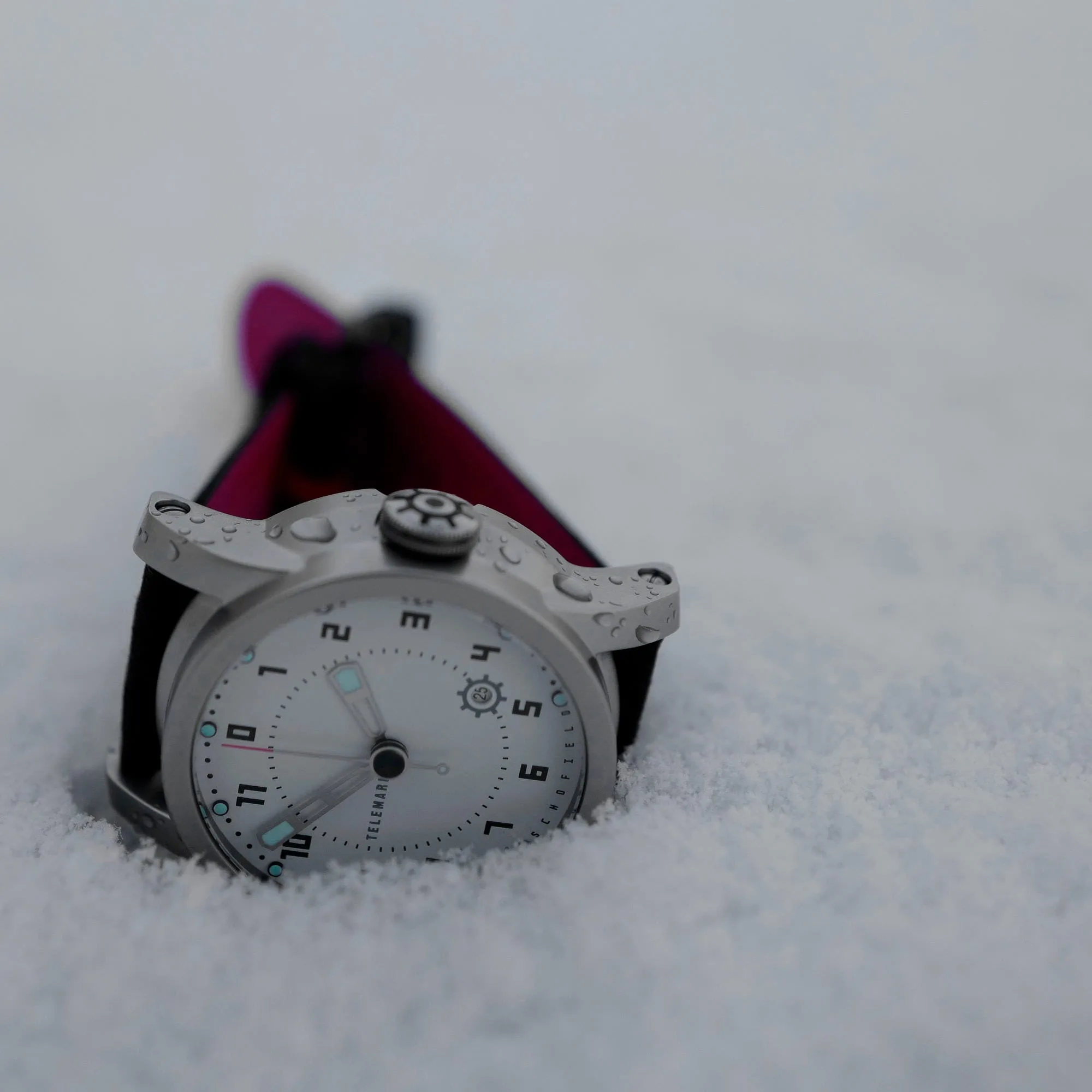 Telemark in the snow