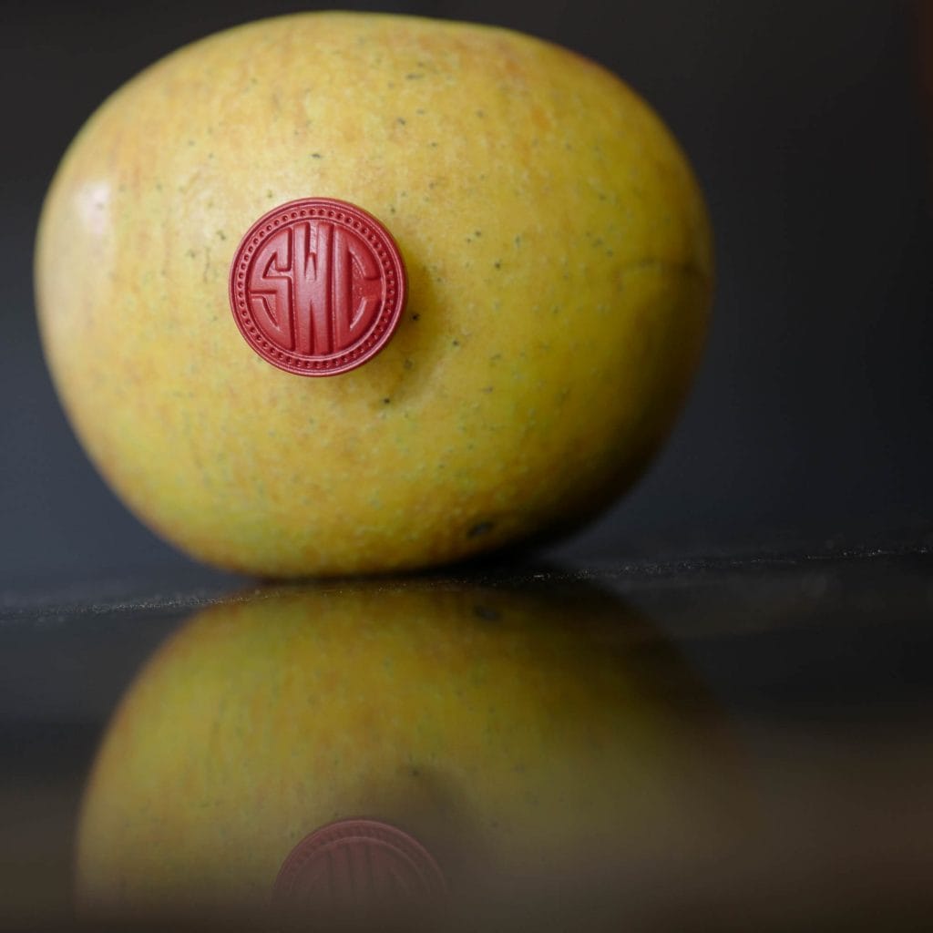 Schofield Red ceramic Pin