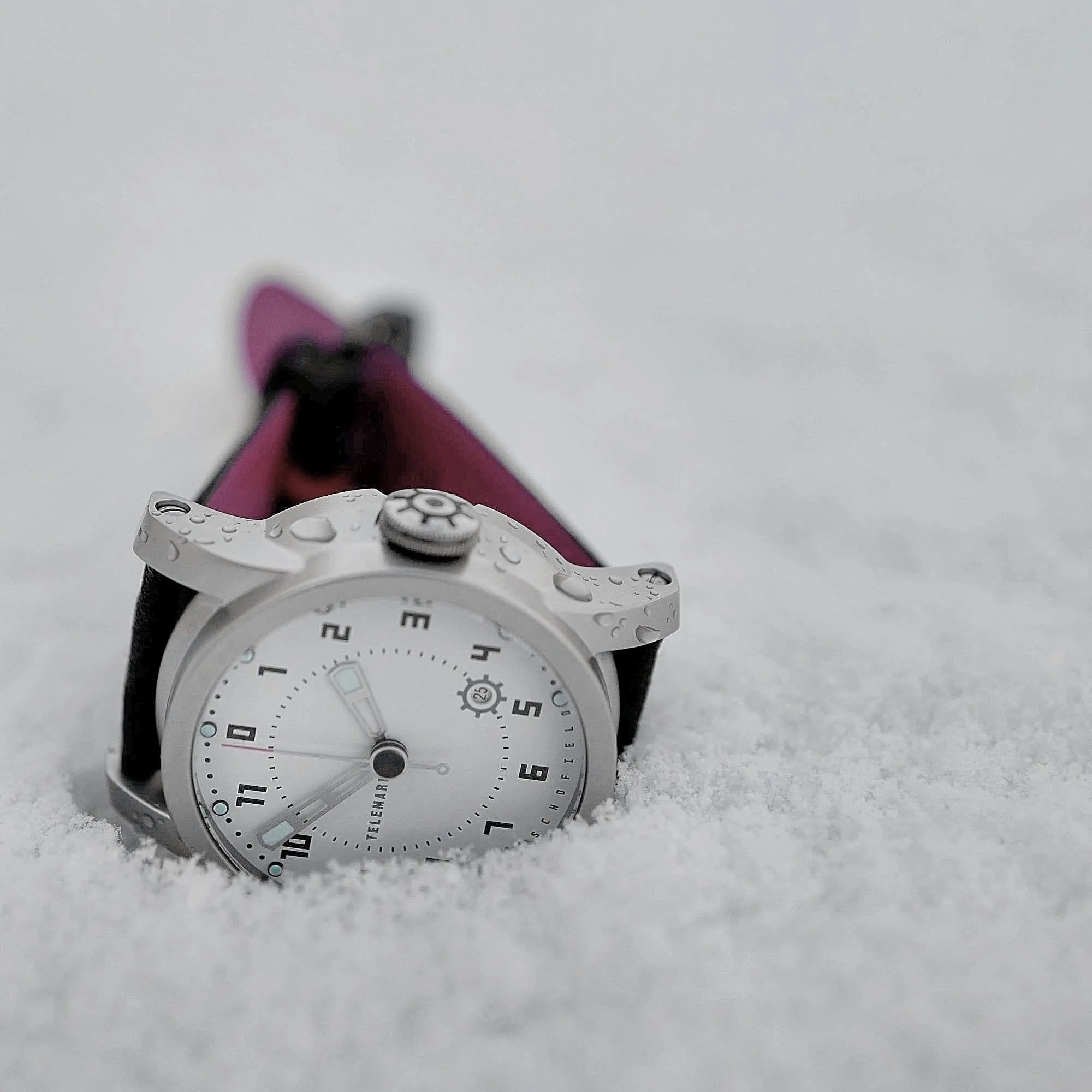 Telemark in the snow copy