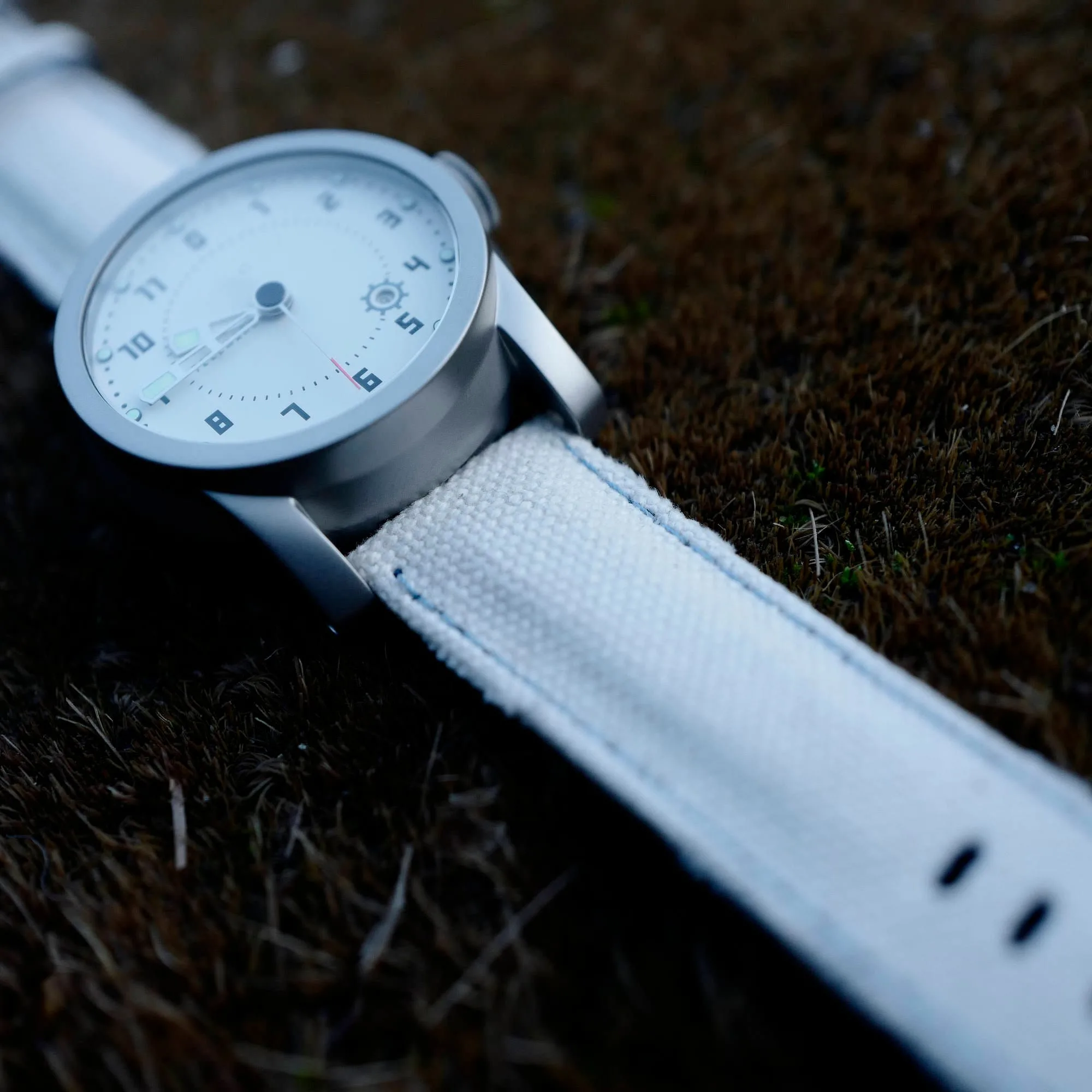Telemark watch on Japanese canvas