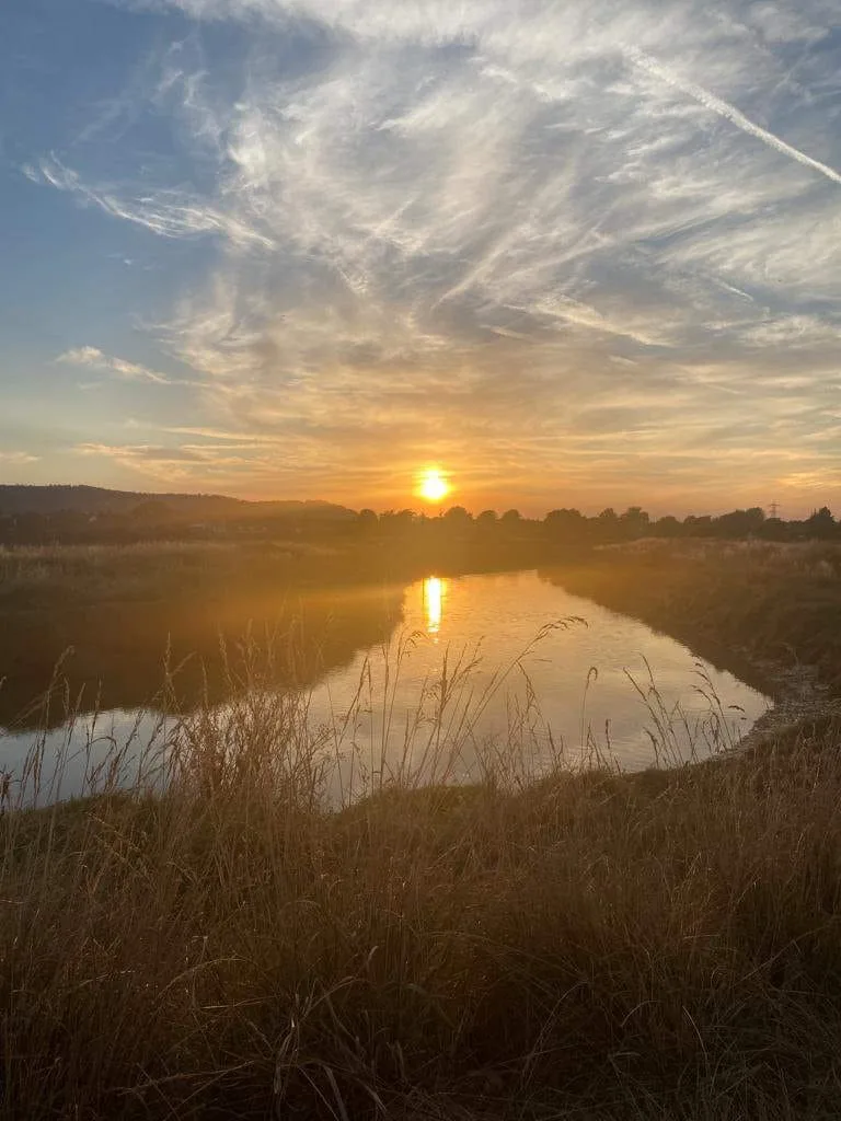 sunset sussex