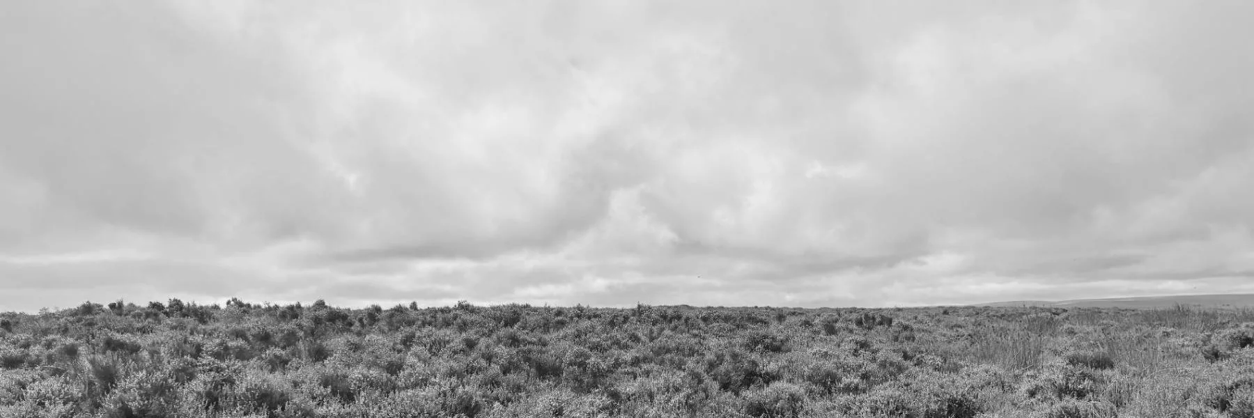 ACCOUNTS EXMOOR