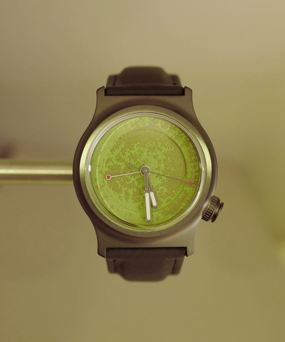 Forest floor, unusual light, a minimal watch with a mottled green dial